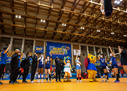 埼玉上尾メディックス