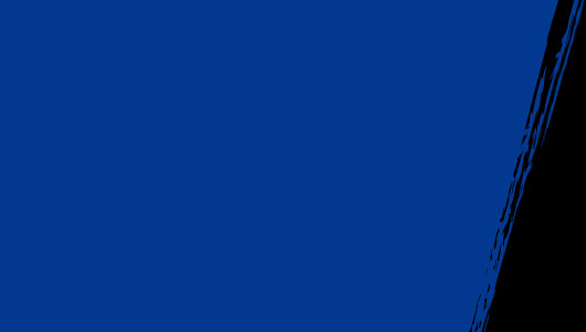 ティシェイラ,ロレンネ