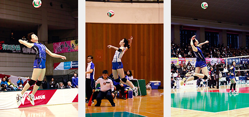 サーブ賞-青柳京古