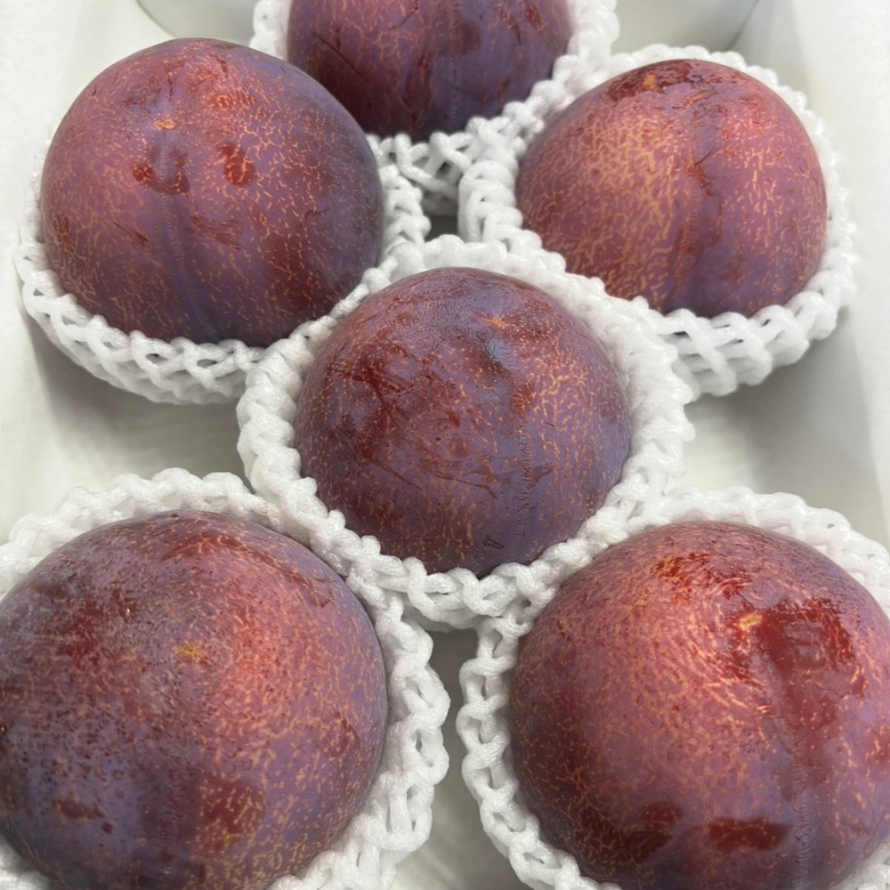 きらめき久美ファーム