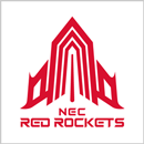 NECレッドロケッツ川崎