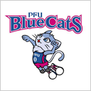 PFUブルーキャッツ石川かほく